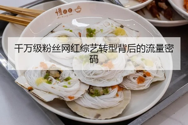 千万级粉丝网红综艺转型背后的流量密码